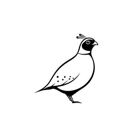 quail simple black and white line art vector logo. quailのイラスト素材
