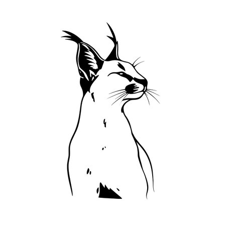 Caracal simple black and white line art vector logo. Caracalのイラスト素材
