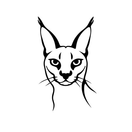 Caracal simple black and white line art vector logo. Caracalのイラスト素材