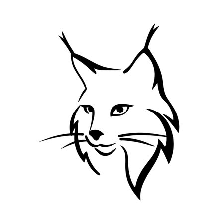 Lynx simple black and white line art vector logo. Lynxのイラスト素材