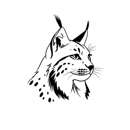 Lynx simple black and white line art vector logo. Lynxのイラスト素材