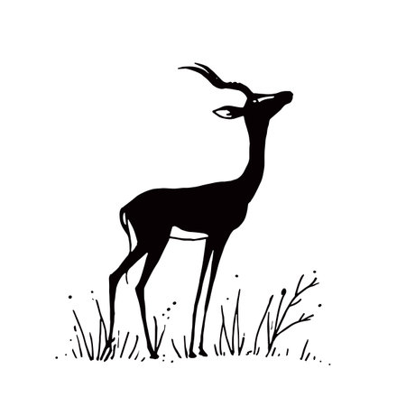 Antelope simple black and white line art vector logo. Antelopeのイラスト素材
