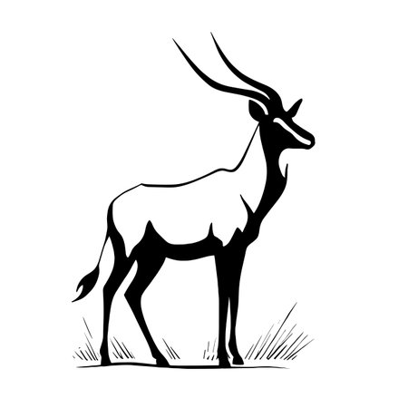 Eland simple black and white line art vector logo. Elandのイラスト素材