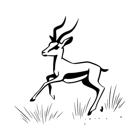 Gazelle simple black and white line art vector logo. Gazelleのイラスト素材