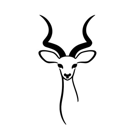 Kudu simple black and white line art vector logo. Kuduのイラスト素材