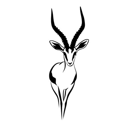 Gazelle simple black and white line art vector logo. Gazelleのイラスト素材