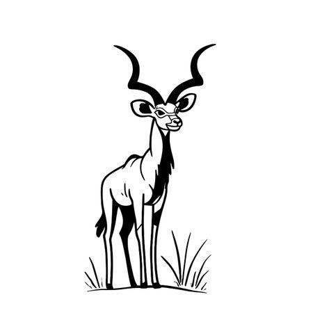 Kudu simple black and white line art vector logo. Kuduのイラスト素材