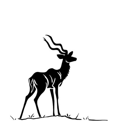 Kudu simple black and white line art vector logo. Kuduのイラスト素材