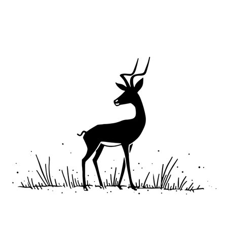 Impala simple black and white line art vector logo. Impalaのイラスト素材