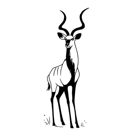 Kudu simple black and white line art vector logo. Kuduのイラスト素材