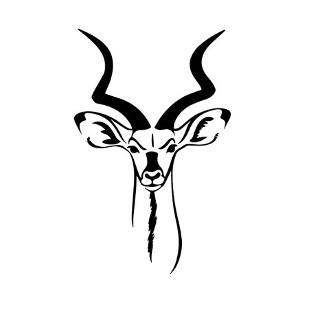 Kudu simple black and white line art vector logo. Kuduのイラスト素材