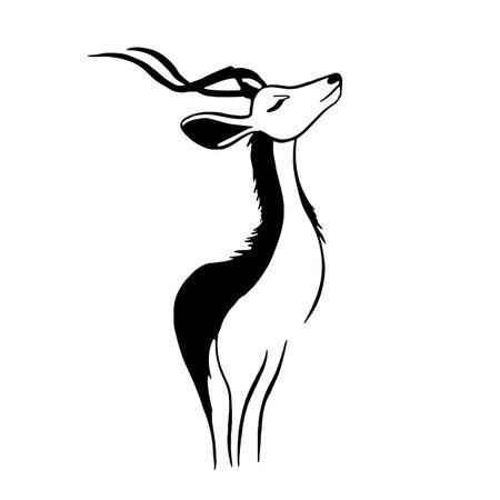 Kudu simple black and white line art vector logo. Kuduのイラスト素材