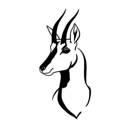 Pronghorn simple black and white line art vector logo. Pronghornのイラスト素材