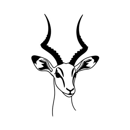 Impala simple black and white line art vector logo. Impalaのイラスト素材