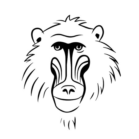 Baboon simple black and white line art vector logo. Baboonのイラスト素材