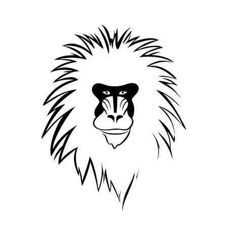 Mandrill simple black and white line art vector logo. Mandrillのイラスト素材