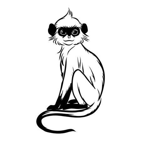 Langur simple black and white line art vector logo. Langurのイラスト素材