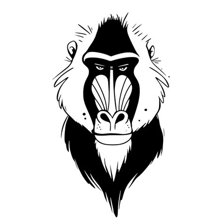 Mandrill simple black and white line art vector logo. Mandrillのイラスト素材