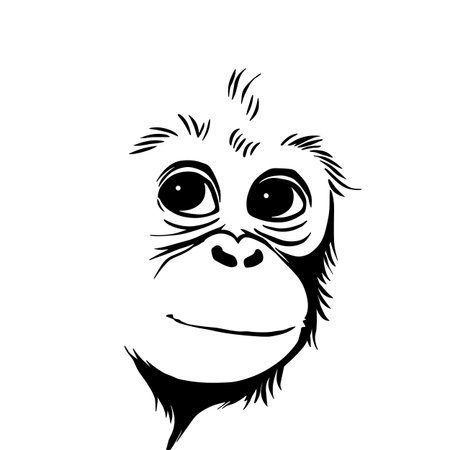 Bornean Orangutan simple black and white line art vector logo. Bornean Orangutanのイラスト素材