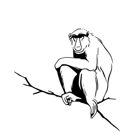 Proboscis Monkey simple black and white line art vector logo. Proboscis Monkeyのイラスト素材