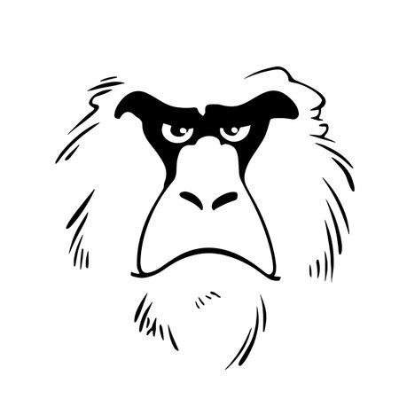 Proboscis Monkey simple black and white line art vector logo. Proboscis Monkeyのイラスト素材
