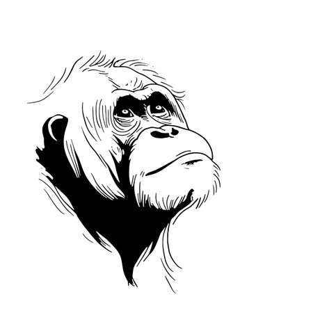 Sumatran Orangutan simple black and white line art vector logo. Sumatran Orangutanのイラスト素材