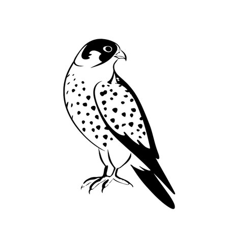 Falcon simple black and white line art vector logo. Falconのイラスト素材