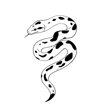 Boa Constrictor simple black and white line art vector logo. Boa Constrictorのイラスト素材