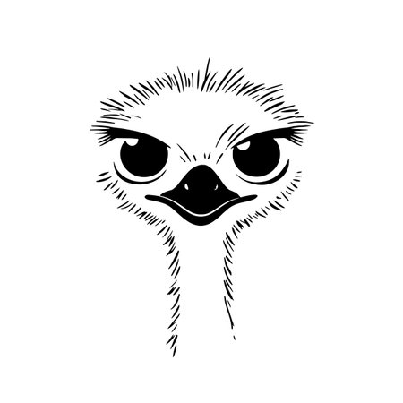 Emu simple black and white line art vector logo. Emuのイラスト素材