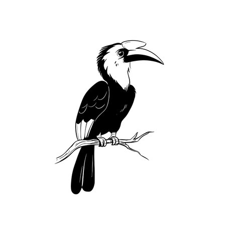 Hornbill simple black and white line art vector logo. Hornbillのイラスト素材