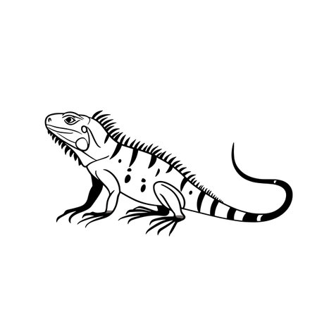 Iguana simple black and white line art vector logo. Iguanaのイラスト素材