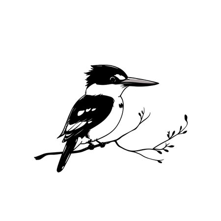 Kingfisher simple black and white line art vector logo. Kingfisherのイラスト素材