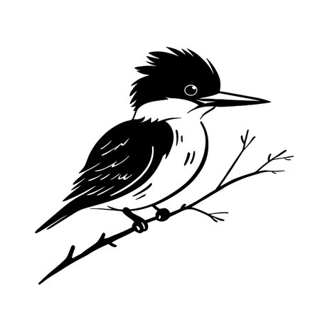 Kingfisher simple black and white line art vector logo. Kingfisherのイラスト素材