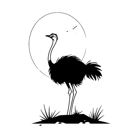 Ostrich simple black and white line art vector logo. Ostrichのイラスト素材