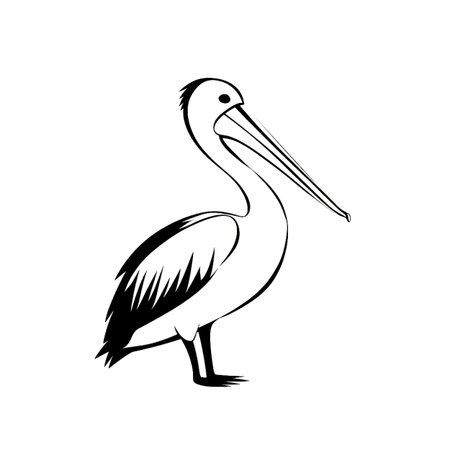 Pelican simple black and white line art vector logo. Pelicanのイラスト素材