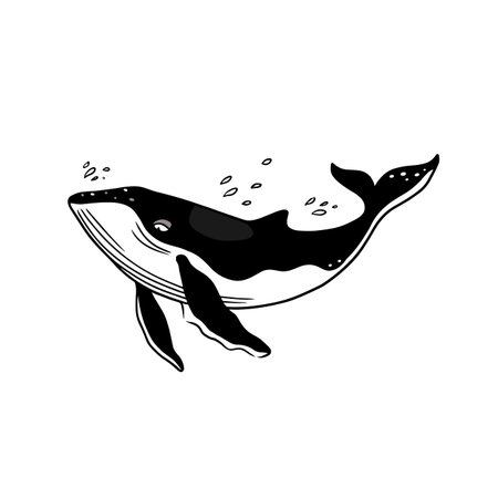 Humpback Whale simple black and white line art vector logo. Humpback Whaleのイラスト素材