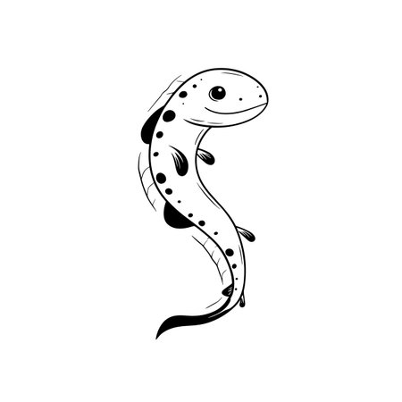 Moray Eel simple black and white line art vector logo. Moray Eelのイラスト素材