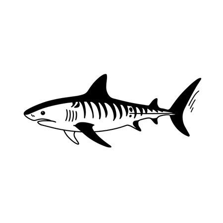 Tiger Shark simple black and white line art vector logo. Tiger Sharkのイラスト素材