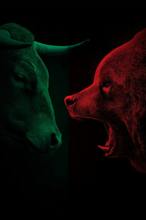 Bull and bear symbols depicting contrasting financial market movements and investment strategies. Bull and bear market financial trends conceptの写真素材