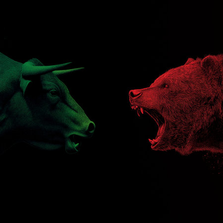 Bull and bear symbols depicting contrasting financial market movements and investment strategies. Bull and bear market financial trends conceptの写真素材