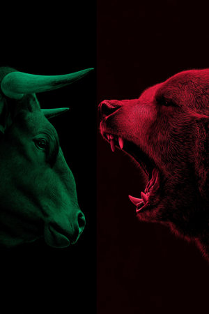 Bull and bear symbols depicting contrasting financial market movements and investment strategies. Bull and bear market financial trends conceptの写真素材