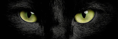 Black cat eyes glowing green from darkness, symbolizing mystery and vigilance. Black cat glowing...