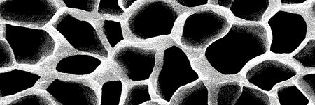 Giraffe skin pattern forming an abstract black and white background texture. Abstract giraffe skin...