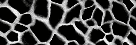 Giraffe skin pattern forming an abstract black and white background texture. Abstract giraffe skin pattern in black and whiteの写真素材