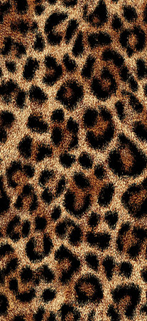 Leopard fur texture pattern providing an exotic and fashionable animal print background. Seamless...
