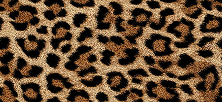 Leopard fur texture pattern providing an exotic and fashionable animal print background. Seamless...