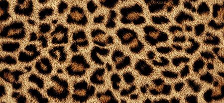 Leopard fur texture pattern providing an exotic and fashionable animal print background. Seamless leopard print pattern creating wild fur texture backgroundの写真素材