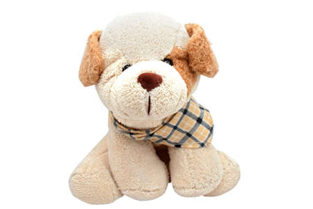Soft toy dog with a scarf on a white backgroundの写真素材