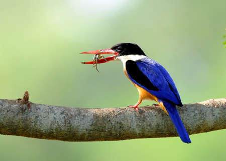 south of thailandの写真素材