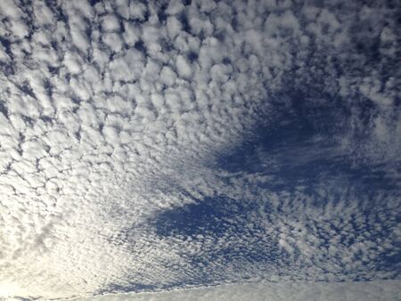 up in the blue skyの写真素材